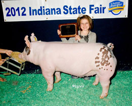 Platt Show Pigs Winner