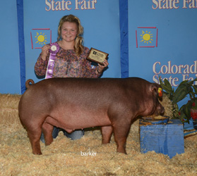 Platt Show Pigs Winners