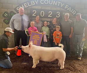 Reserve Champion Shelby County