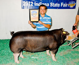 Platt Show Pigs Winner