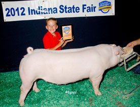 Platt Show Pigs Winner