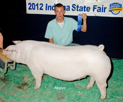 Platt Show Pigs Winner