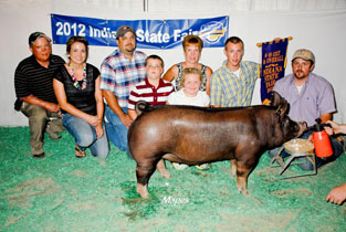 Platt Show Pigs Winner