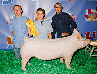 Winners
