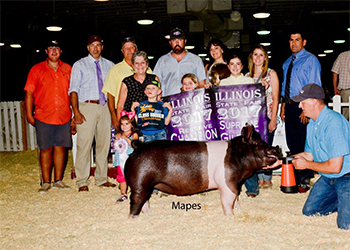 Winners