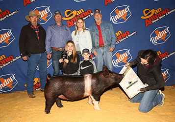 Platt Showpigs