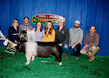 Platt Showpigs