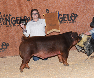 platt Showpigs