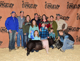 Platt Showpigs