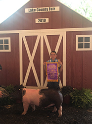Platt Showpigs Winners