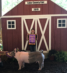 Platt Showpigs Winners