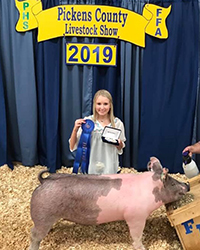 Platt Showpigs Winners