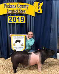 Platt Showpigs Winners