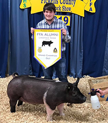 Platt Showpigs Winners