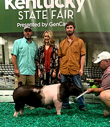 Platt Showpigs Winners