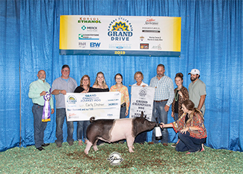 Platt Showpigs Winners