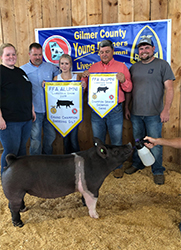 Platt Showpigs Winners
