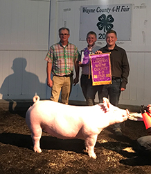 Platt Showpigs Winners