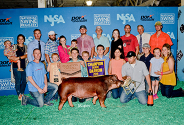 Platt Showpigs Winners