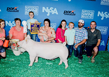 Platt Showpigs Winners