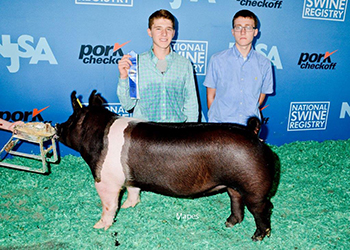 Platt Showpigs Winners