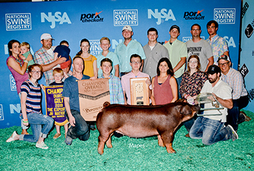 Platt Showpigs Winners