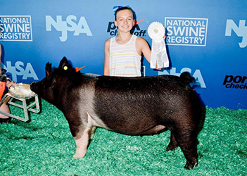 Platt Showpigs Winners