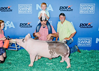 Platt Showpigs Winners