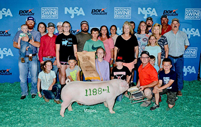 Platt Showpigs Winners