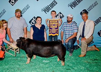 Platt Showpigs Winners