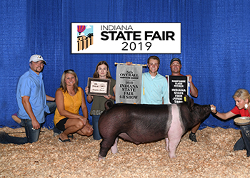Platt Showpigs Winners