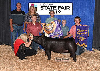 Platt Showpigs Winners