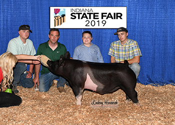Platt Showpigs Winners
