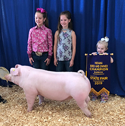 Platt Showpigs Winners