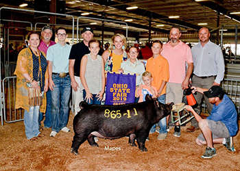 Platt Showpigs Winners