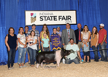 Platt Showpigs Winners