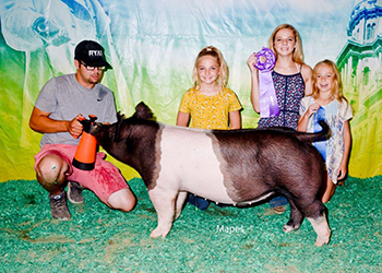 Platt Showpigs Winners