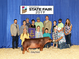 Platt Showpigs Winners