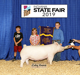 Platt Showpigs Winners