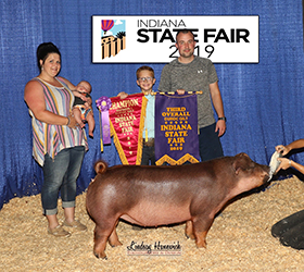 Platt Showpigs Winners