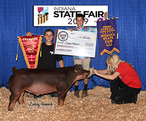 Platt Showpigs Winners