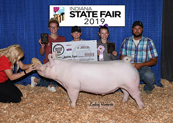 Platt Showpigs Winners