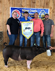 Platt Showpigs Winners