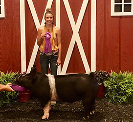 Platt Showpigs Winners