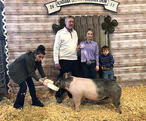 Platt Showpigs Winners