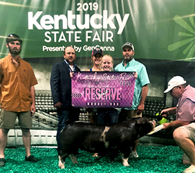 Platt Showpigs Winners