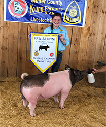 Platt Showpigs Winners