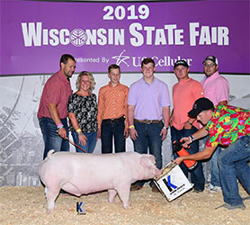 Platt Showpigs Winners