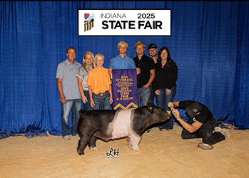 5TH OVERALL DIVISION 3 DARK CROSSBRED BARROW
2025 IN STATE FAIR 